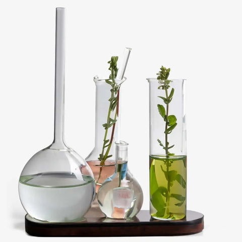 Hyaluronsäure (aus Mais und Soja gewonnen)