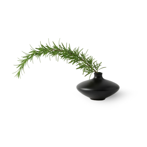 Rosemary Leaf Extract