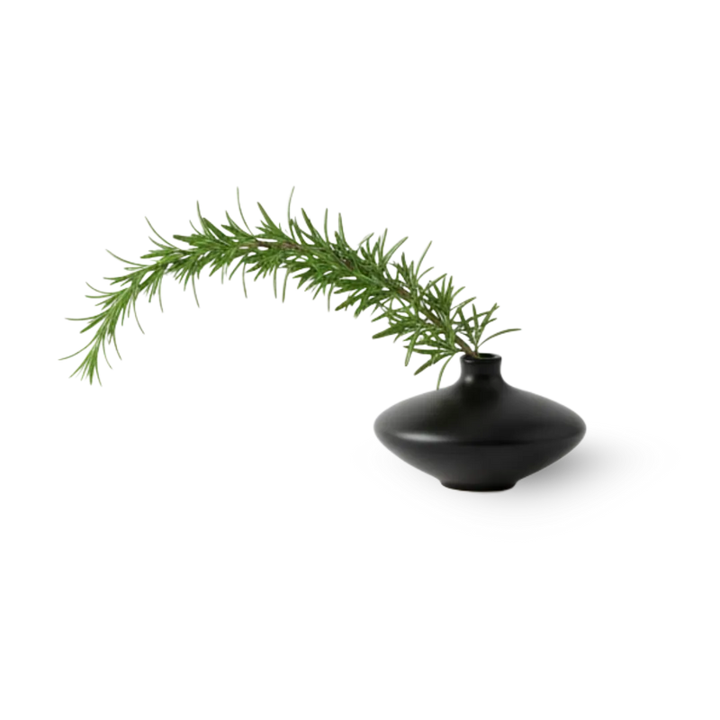 Rosemary Leaf Extract