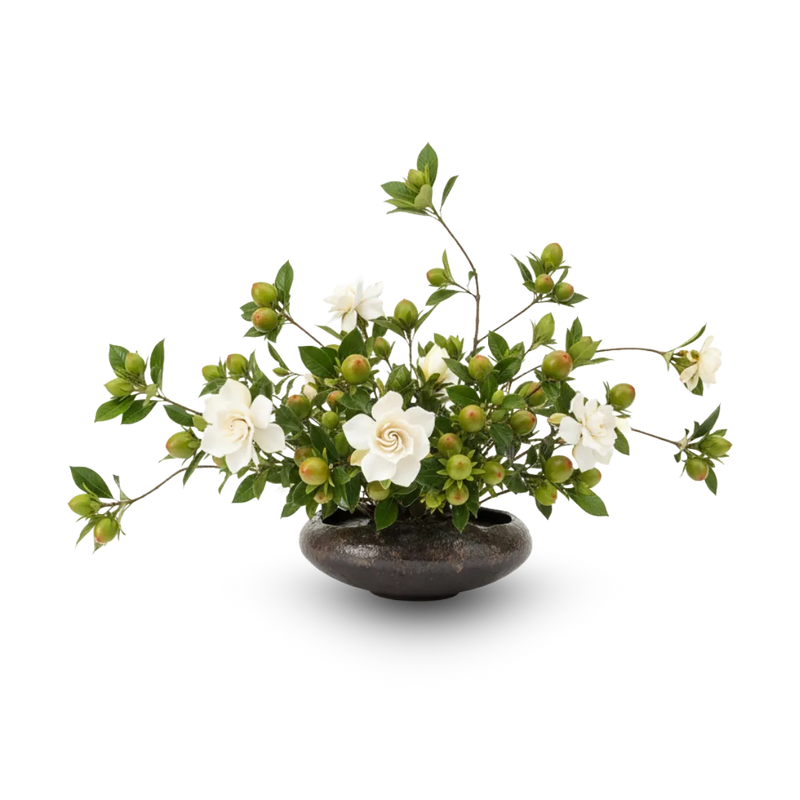 Gardenia Fruit Extract