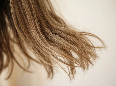 Dry, Damaged Hair
